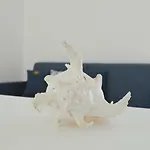 Oltremare * 加利波利