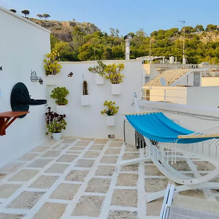 Oltremare Apartment