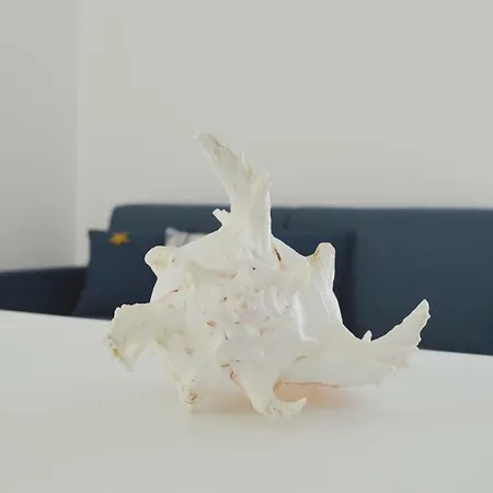 Oltremare * 加利波利